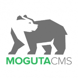 Продвижение сайтов на Moguta 
