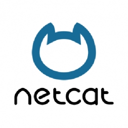 Продвижение сайтов на Netcat 
