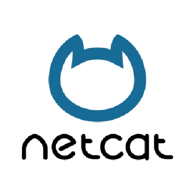 Продвижение сайтов на Netcat