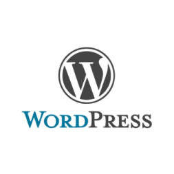 SEO продвижение сайта на WordPress 
